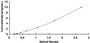 Typical Standard Curve for PCDH15 ELISA (Sandwich)