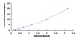 Typical Standard Curve for REPIN1 ELISA (Sandwich)