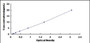 Typical Standard Curve for RIOK1 ELISA (Sandwich)