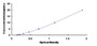 Typical Standard Curve for S100A10 ELISA (Sandwich)