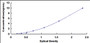 Typical Standard Curve for SEPT6 ELISA (Sandwich)