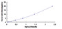 Typical Standard Curve for TOP2 ELISA (Sandwich)