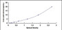 Typical Standard Curve for TPH2 ELISA (Sandwich)