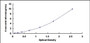 Typical Standard Curve for TRAIL ELISA (Sandwich)