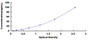 Typical Standard Curve for UGT1A1 ELISA (Sandwich)