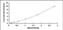 Typical Standard Curve for UPRT ELISA (Sandwich)