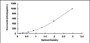 Typical Standard Curve for VEGF145 ELISA (Sandwich)