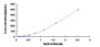 Typical Standard Curve for ErbB3 ELISA (Sandwich)