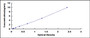 Typical Standard Curve for XDH ELISA (Sandwich)