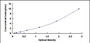 Typical Standard Curve for FN ELISA (Sandwich)