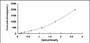 Typical Standard Curve for PTX3 ELISA (Sandwich)