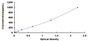 Typical Standard Curve for IL1b ELISA (Sandwich)