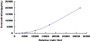 Typical Standard Curve for E-cadherin CLIA (Sandwich)