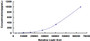 Typical Standard Curve for IL6 CLIA (Sandwich)