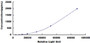 Typical Standard Curve for TGFb1 CLIA (Sandwich)