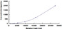 Typical Standard Curve for VEGFC CLIA (Sandwich)