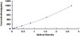 Typical Standard Curve for GPC4 ELISA (Sandwich)