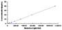 Typical Standard Curve for PIM2 CLIA (Sandwich)