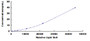 Typical Standard Curve for TFPI CLIA (Sandwich)