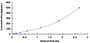 Typical Standard Curve for SST ELISA (Sandwich)