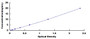 Typical Standard Curve for PRF1 ELISA (Sandwich)