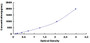 Typical Standard Curve for HIF1a ELISA (Sandwich)