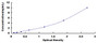 Typical Standard Curve for ISM1 ELISA (Sandwich)