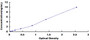 Typical Standard Curve for ANGPTL8 ELISA (Sandwich)