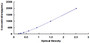 Typical Standard Curve for ILK ELISA (Sandwich)