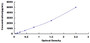 Typical Standard Curve for NT-ProBNP ELISA (Sandwich)