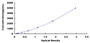 Typical Standard Curve for MSN ELISA (Sandwich)