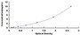 Typical Standard Curve for UBA2 ELISA (Sandwich)