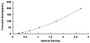 Typical Standard Curve for REN ELISA (Sandwich)