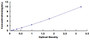 Typical Standard Curve for XYLT1 ELISA (Sandwich)