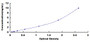 Typical Standard Curve for TALDO1 ELISA (Sandwich)