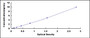 Typical Standard Curve for SLC26A7 ELISA (Sandwich)