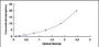 Typical Standard Curve for HMGCR ELISA (Sandwich)