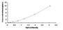 Typical Standard Curve for HTR1A ELISA (Sandwich)