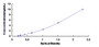 Typical Standard Curve for SCNN1a ELISA (Sandwich)