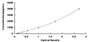 Typical Standard Curve for ASGR2 ELISA (Sandwich)