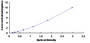 Typical Standard Curve for ATP1b3 ELISA (Sandwich)