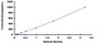 Typical Standard Curve for BMP2 ELISA (Sandwich)