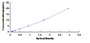 Typical Standard Curve for BMP8A ELISA (Sandwich)