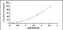 Typical Standard Curve for CAPN1 ELISA (Sandwich)