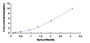 Typical Standard Curve for CHRDL2 ELISA (Sandwich)