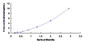 Typical Standard Curve for CD19 ELISA (Sandwich)