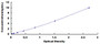 Typical Standard Curve for CFL1 ELISA (Sandwich)