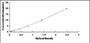 Typical Standard Curve for COL1a2 ELISA (Sandwich)