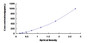 Typical Standard Curve for GCSF ELISA (Sandwich)