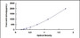 Typical Standard Curve for CFHR5 ELISA (Sandwich)